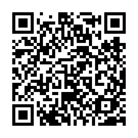 QR code for plate 960 VEK