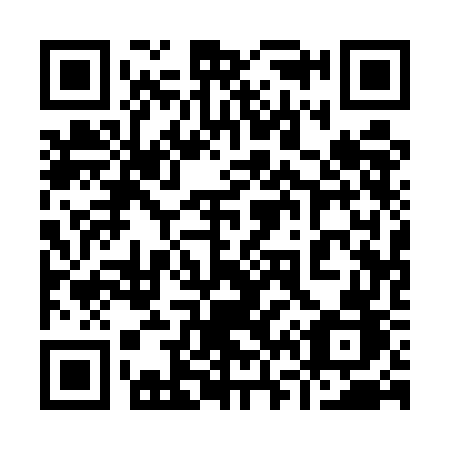 QR code for plate 961 5GB