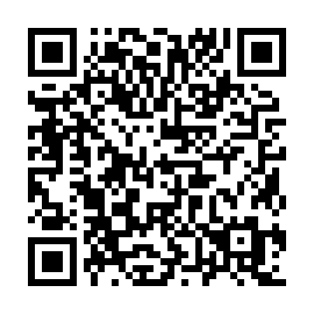 QR code for 9618ZM
