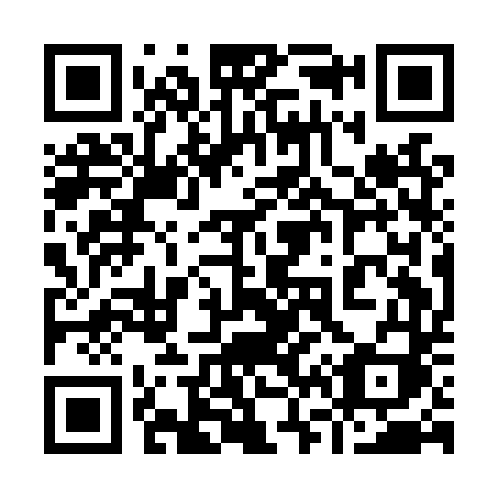 QR code for plate 961 LTI