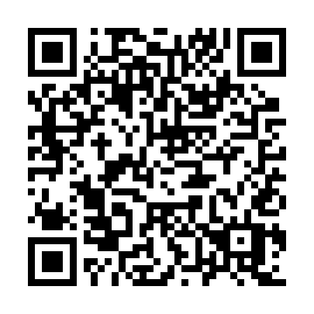 QR code for plate 961 RUT