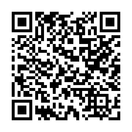 QR code for 9638KS