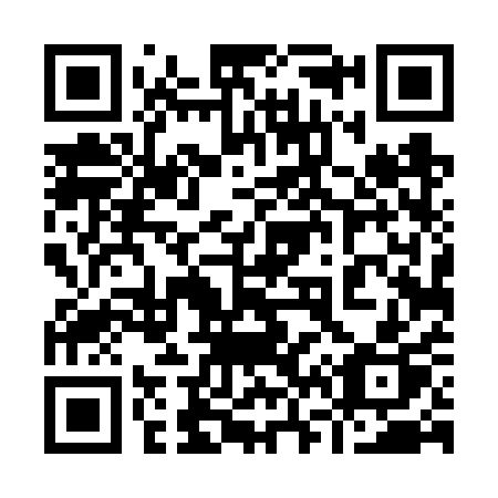 QR code for 9646QP