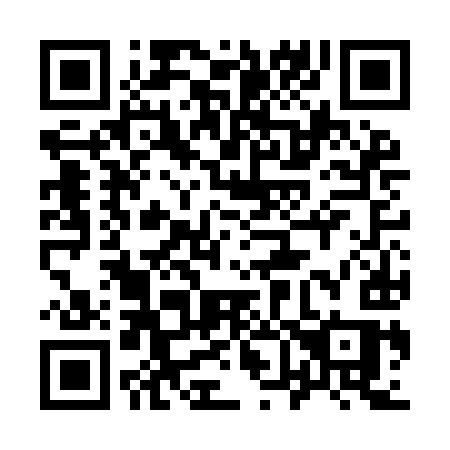 QR code for 966 IIS
