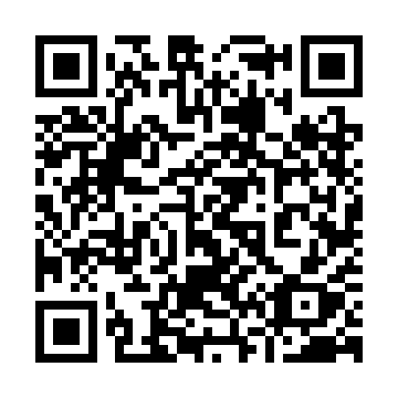 QR code for 9663AX