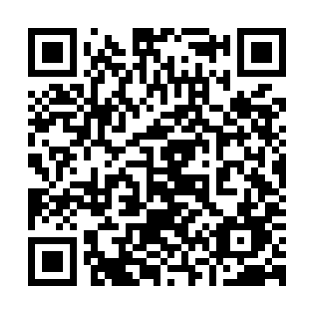 QR code for 966MID