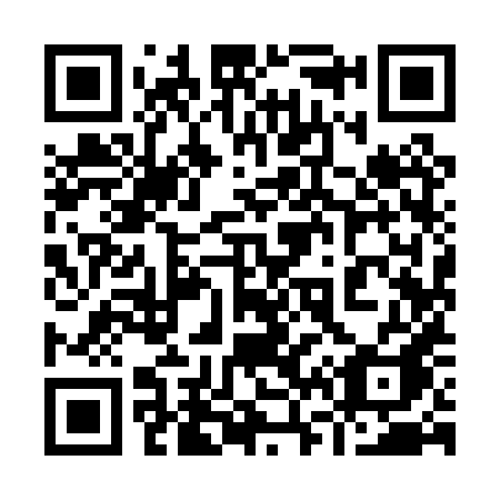 QR code for 9690XA