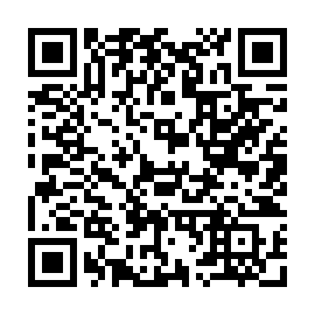 QR code for 9696ZS