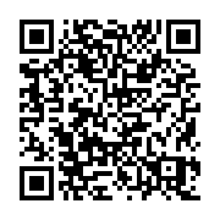 QR code for 9698JS