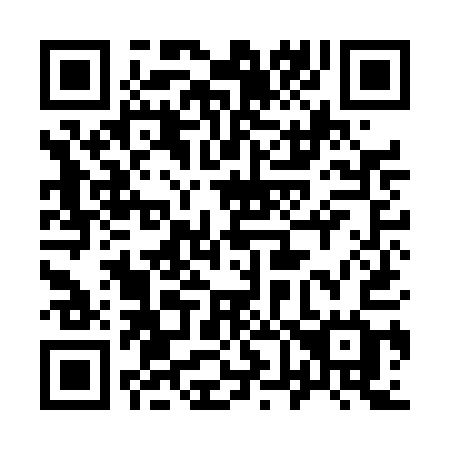 QR code for plate 969 DAG