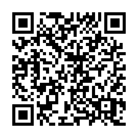 QR code for 981 QDT
