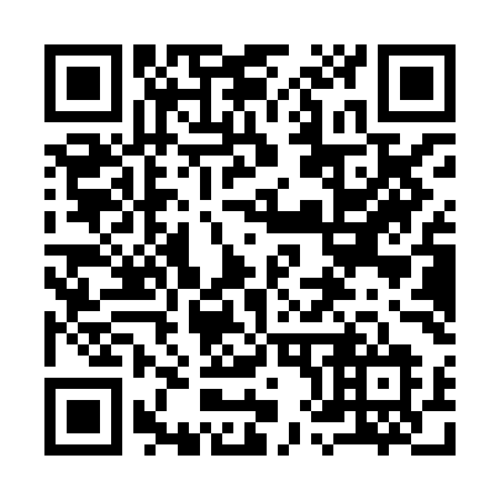 QR code for 981 XML