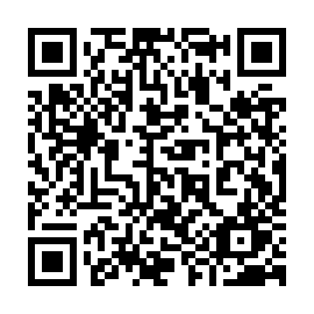 QR code for 991 JZT