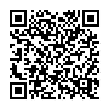 QR code for 991 QDV