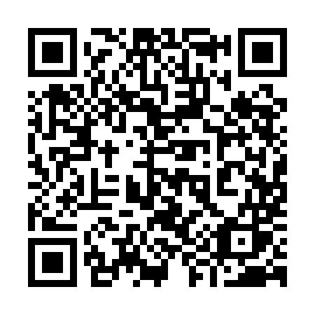 QR code for 9911MS