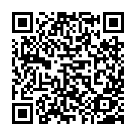QR code for plate 991 3MZ