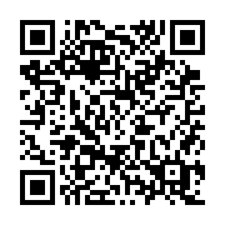 QR code for plate 991 SGD