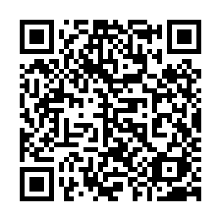 QR code for 993 PZI