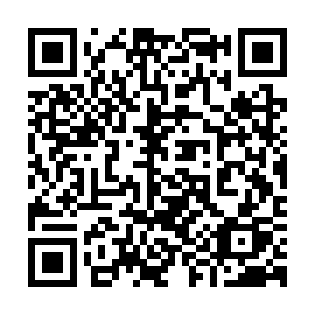QR code for plate 993 CSP