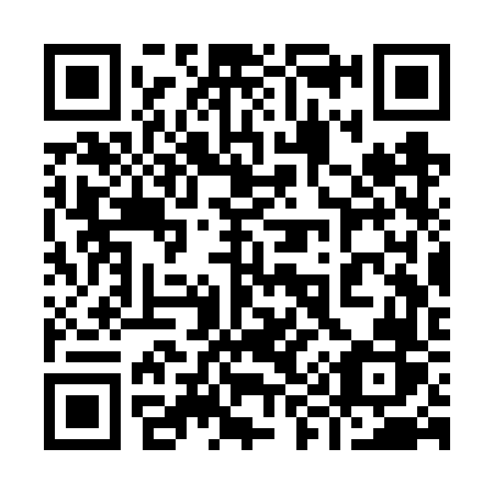 QR code for plate 993 VVR