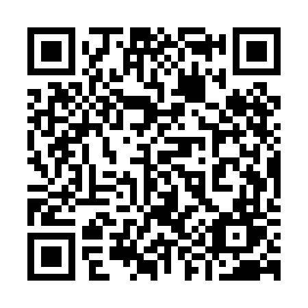 QR code for plate 995 PFT