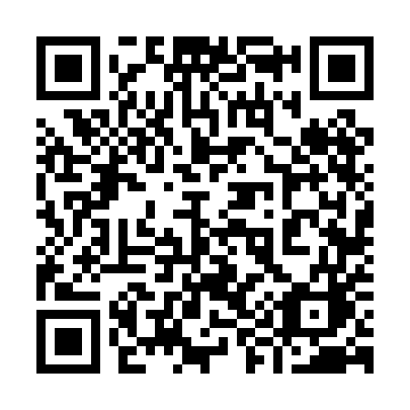 QR code for plate 996 0EC