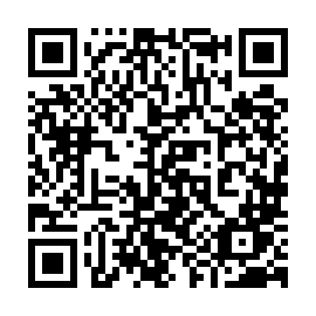 QR code for 9985LT