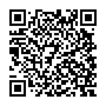 QR code for plate AAF 041