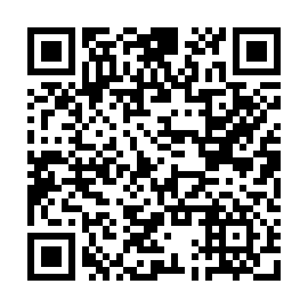 QR code for plate AAP 317