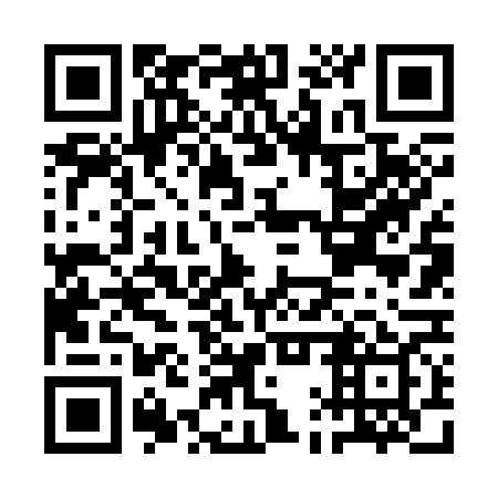QR code for AAV 369