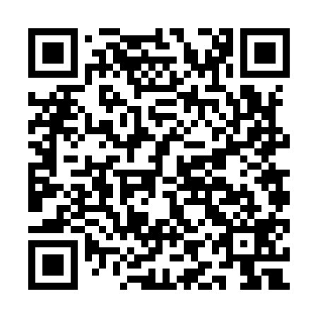 QR code for AIV 919