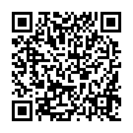 QR code for API 396