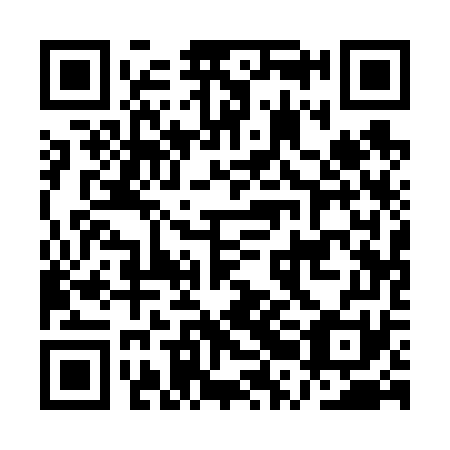 QR code for plate ARA 671