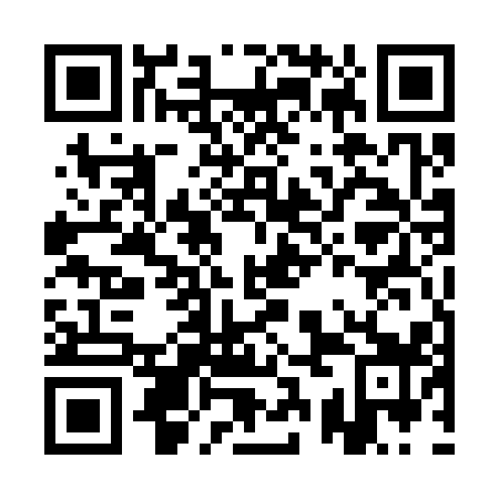 QR code for ASE 319