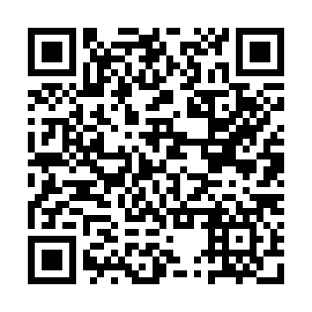 QR code for AUV 387