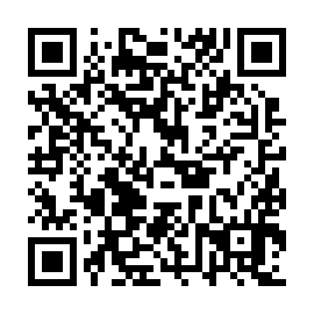 QR code for plate AVV 294