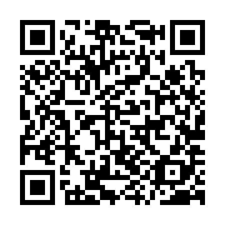 QR code for plate AYL 388