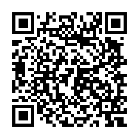 QR code for AYZ495