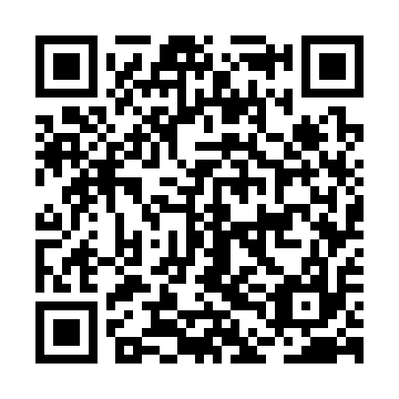 QR code for BDG 317