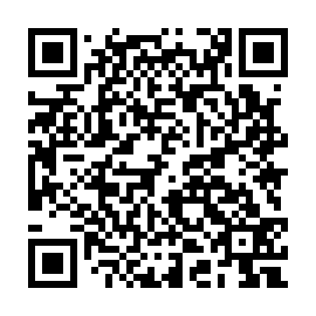 QR code for plate BDM 133