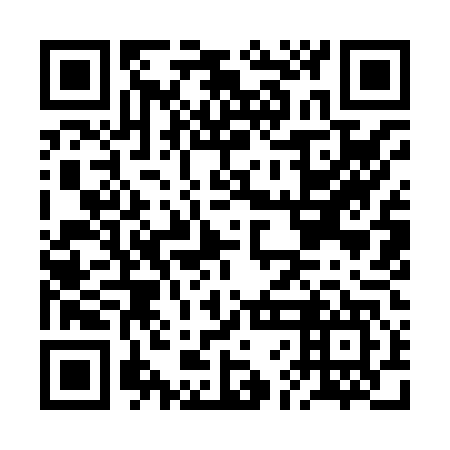 QR code for plate BFI 847