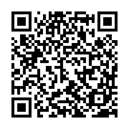 QR code for plate BFZ 040