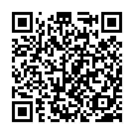 QR code for BGA 498