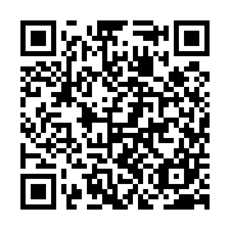 QR code for BGI 507