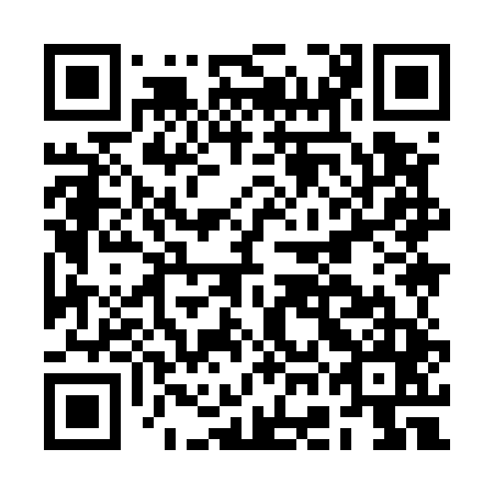 QR code for plate BGI 545