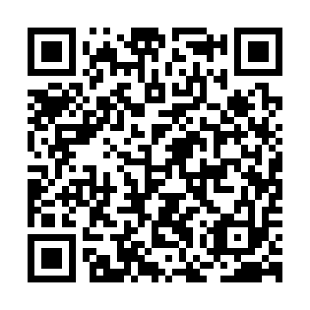 QR code for plate BGQ 313