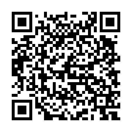 QR code for BGT 461