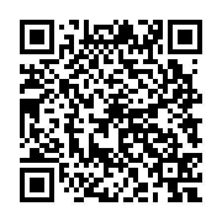 QR code for BHD 335