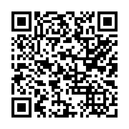 QR code for BIN299