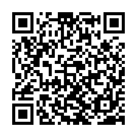 QR code for plate BJV 917